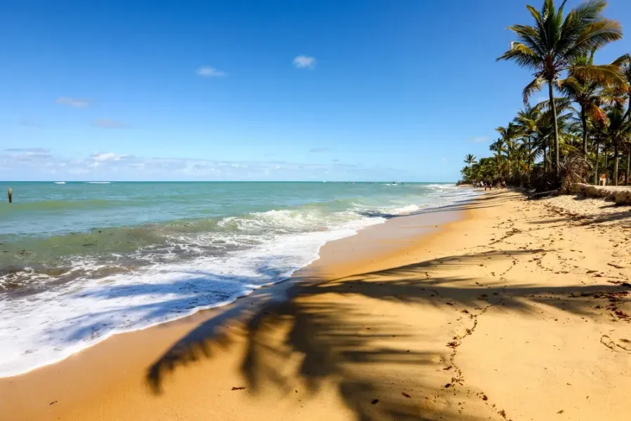 Imagem Praia dos Coqueiros